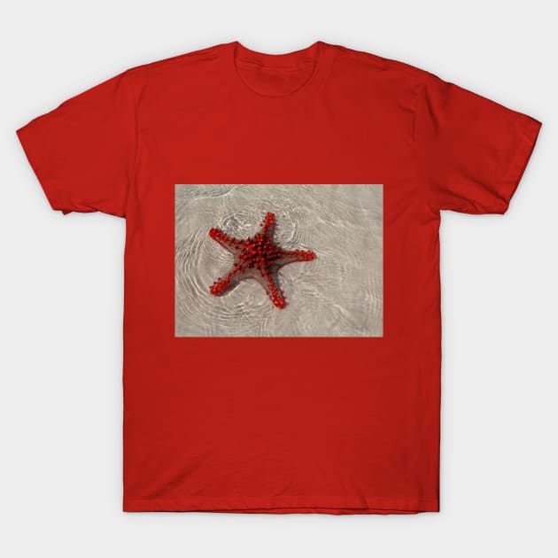 The Starfish T-Shirt by mbiagini